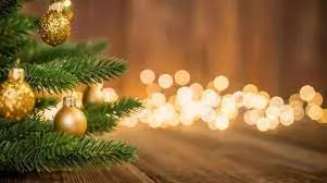 Auguri per un sereno Natale ed un 2024 ricco di soddisfazioni